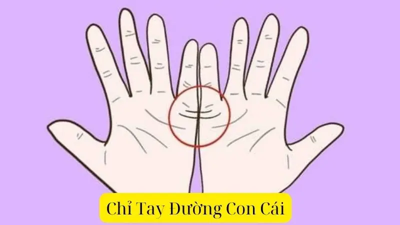 Chỉ Tay Đường Con Cái