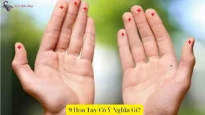 9 Hoa Tay Có Ý Nghĩa Gì? Tìm Hiểu Vận Mệnh Và Tính Cách