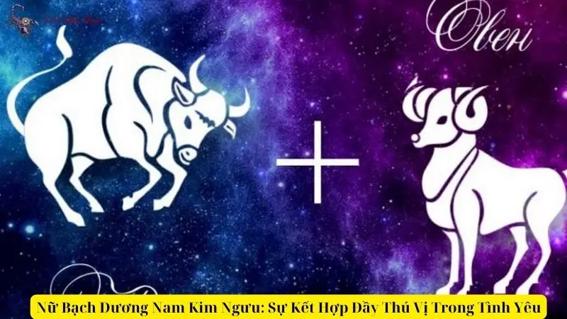 Nữ Bạch Dương Nam Kim Ngưu: Sự Kết Hợp Đầy Thú Vị Trong Tình Yêu