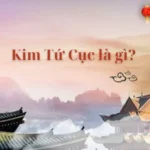 Kim Tứ Cục là gì?