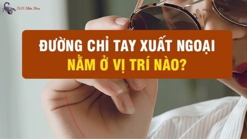 Chỉ Tay Xuất Ngoại: Dấu Hiệu Cho Thấy Bạn Có Cơ Hội Sống Ở Nước Ngoài