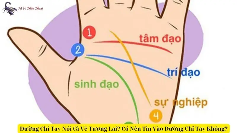 Đường Chỉ Tay Nói Gì Về Tương Lai? Có Nên Tin Vào Đường Chỉ Tay Không?