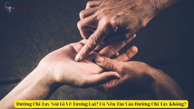 Đường Chỉ Tay Nói Gì Về Tương Lai? Có Nên Tin Vào Đường Chỉ Tay Không?